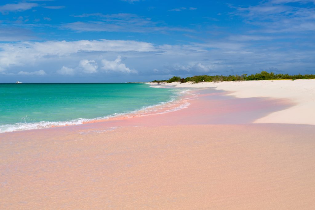 Pink Beach Barbuda