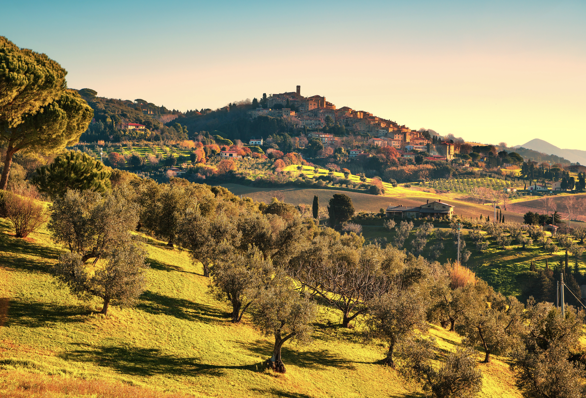 Tuscan Countryside