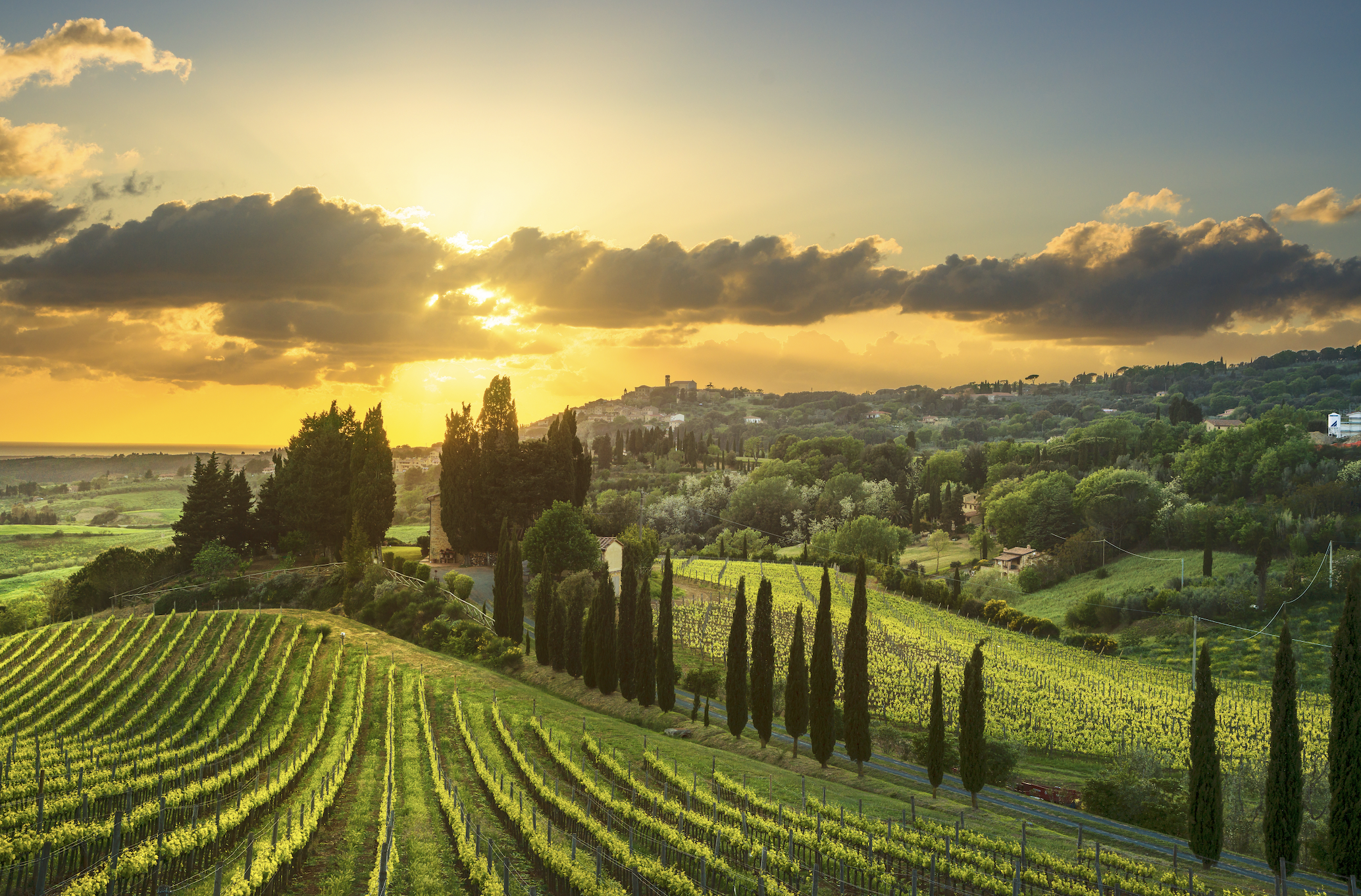 Tuscan Countryside