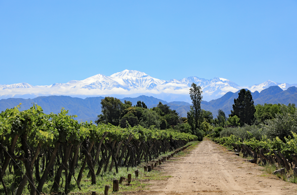 Mendoza