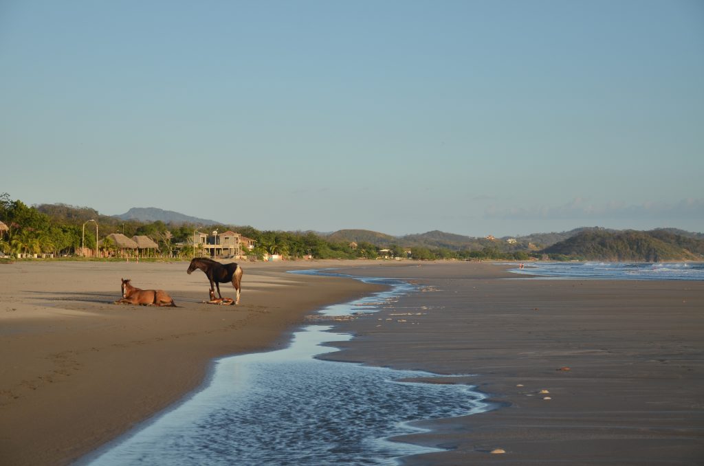 Nicaragua's Pacific coast