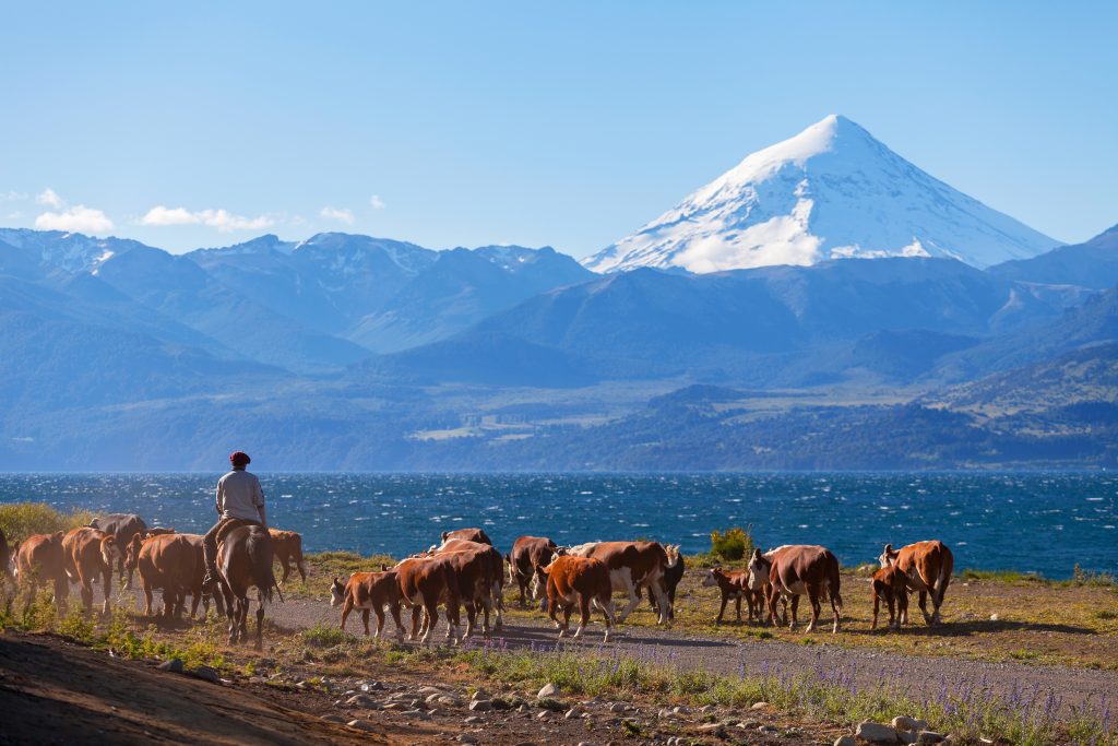 Argentina