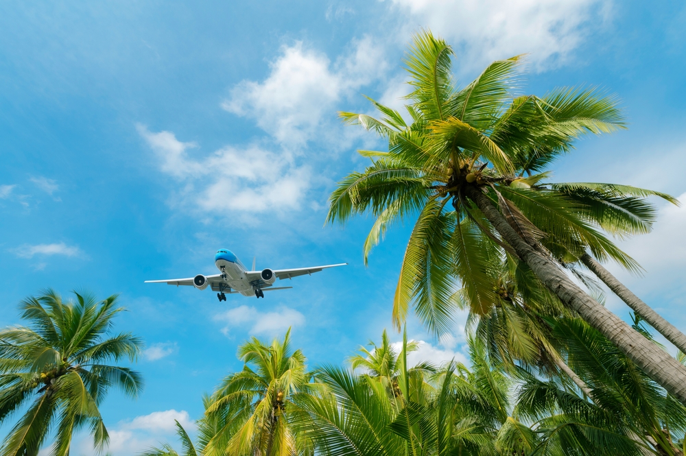 Airplane,Flying,Over,Tropical,Palm,Trees.,Clear,Blue,Sky,Vacation