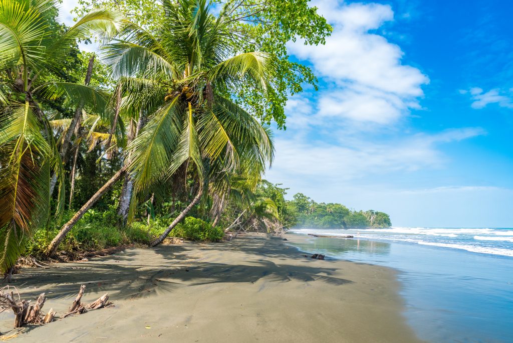 costa rica playa negra