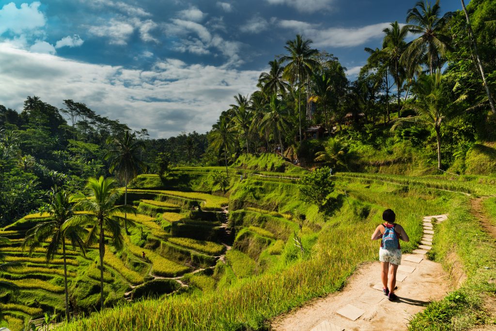 Tegalalang Rice Terraces