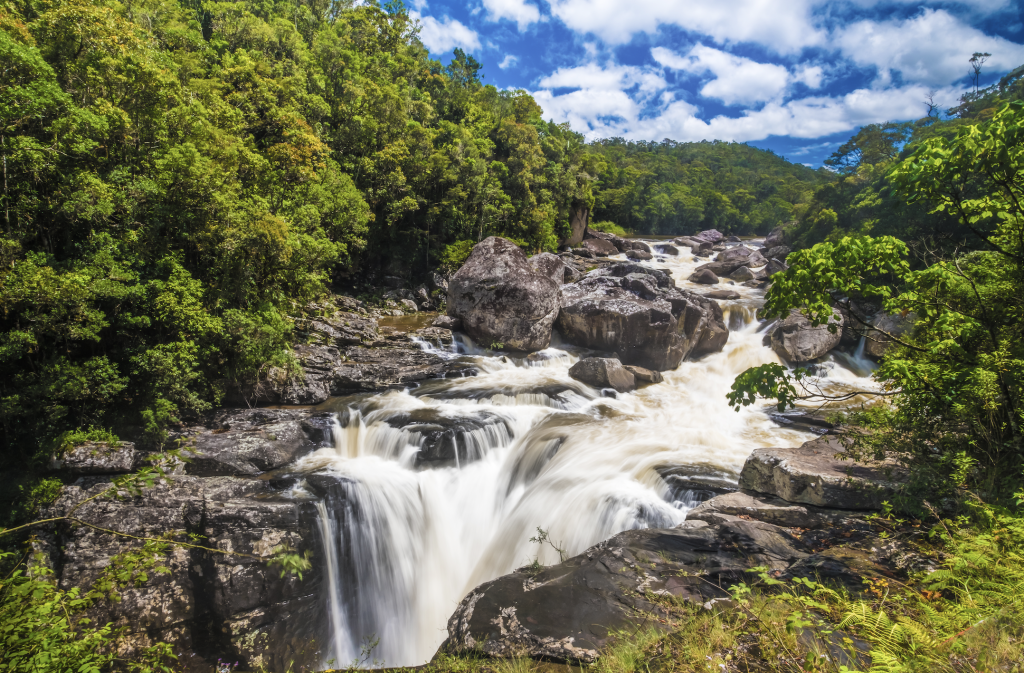 Ranomafana National Park