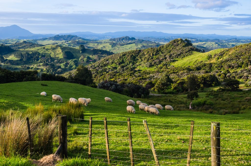 Bay of Islands