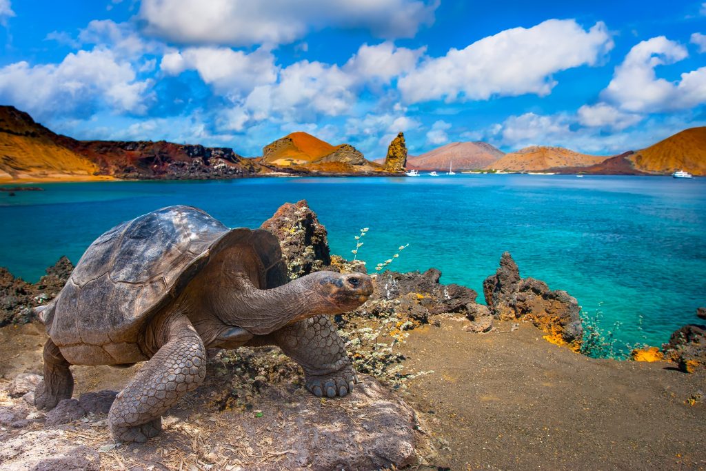 galapagos islands